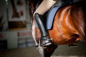 Horse riding high grade supplement