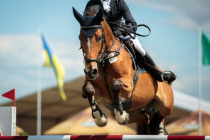 Sel-Plus for Equestrian performance