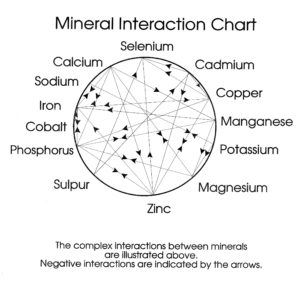 Sel Plus Mineral chart